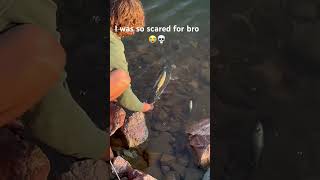 Have you ever lipped a pike 💀 pikefishing bassfishing fishing nature trending viralvideo [upl. by Zaremski]