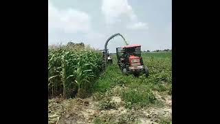 Single Row Forage Harvester  Sabin Enterprises  Exporter  Agri Machine amp Implements [upl. by Morena]