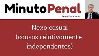 73 Causas relativamente independentes  Nexo causal [upl. by Puna]