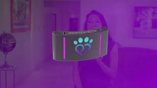 Pet Madness Explainer Discover Our Exciting New Tech Products for Your Pets pets petmadness [upl. by Weirick778]