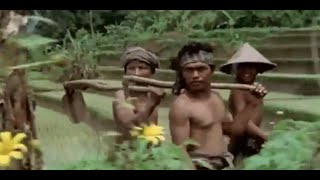 FILM MASA PENJAJAHAN BELANDA TAHUN 1860  MAX HAVEELAR subtitle indonesia [upl. by Willin644]