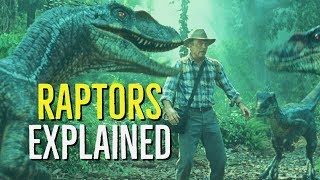 RAPTORS Jurassic Park  World EXPLAINED [upl. by Fronia]