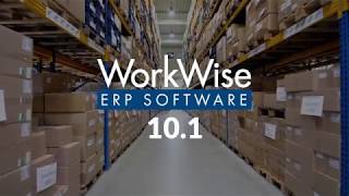 WorkWise ERP 101 Overview [upl. by Dorinda703]