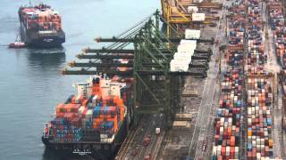 Singapore Container Terminal [upl. by Narrat]