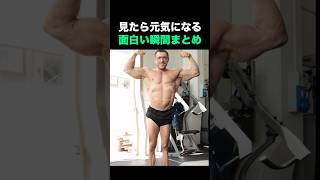 見たら元気になる面白い動画まとめ🤣🤣🤣 [upl. by Anrym]