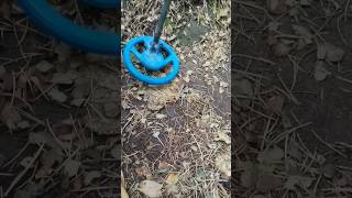 Treasure hunting we found 1976 old coin 😱😱 short metaldetecting treasurehunting youtube viral [upl. by Fabron]