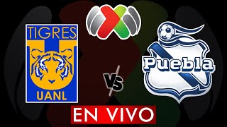 TIGRES VS PUEBLA EN VIVO  LIGA MX APERTURA 2024  JORNADA 11  DONDE VER EN VIVO [upl. by Casilde]