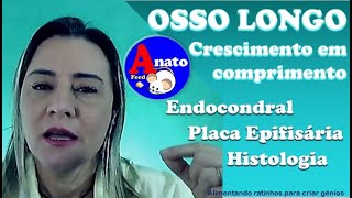 Ossificação  Parte 3  Como os ossos crescem em comprimento [upl. by Arreik]