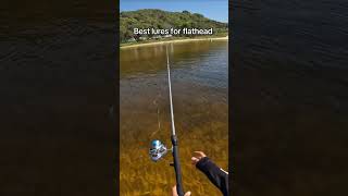 Best lures for flathead fishing fyp trending foryoupage trend viralvideo flathead [upl. by Airtal]