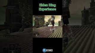 Elden Ring EXPERIENCE eldenring eldenringclips eldenringdlc shadowoftheerdtree [upl. by Ienttirb]