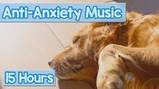 Calming Music for Puppies with Anxiety Soothing Lullabies for Anxious and Stressed Dogs Tested [upl. by Rramaj835]