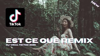 EST CE QUE REMIX VIRAL TIKTOK 2024 [upl. by Vite]