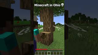 Minecraft in Ohio Be Like 💀shorts minecraft ohio [upl. by Agni]