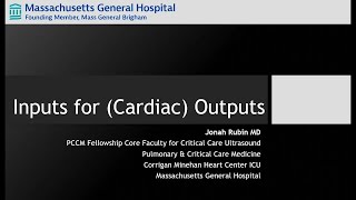 Critical Care Ultrasound Series Part 3 Inputs for Cardiac Outputs LVOT VTI method [upl. by Nerej]