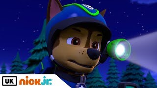 Paw Patrol  Pups Save a City Kitty  Nick Jr UK [upl. by Aiekat]