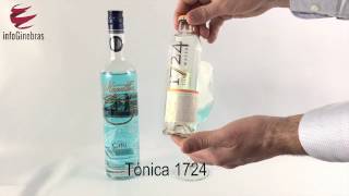 Gin tonic de Magellan con manzana verde y regaliz [upl. by Yahsal]