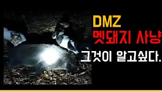 리얼깽TV DMZ 멧돼지사냥 그것이알고싶다 라이카와 함께하는 멧돼지사냥 아프리카 돼지열병 퇴치 유해조수 [upl. by Iormina570]