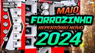 CD FORROZINHO PRA PAREDÃO MAIO 2024 • ANAILSON PRODUÇÕES [upl. by Annaerdna]