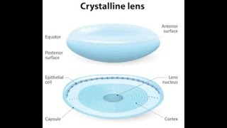 Insufficiency of accomodation  Accommodative anomalies  optometry sharp vision [upl. by Tonkin]