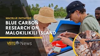 Australian Scientists Conduct Blue Carbon Research on Malokilikili Island  VBTC News [upl. by Rexana]