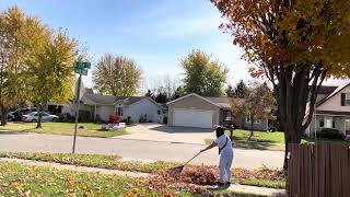 Fall Raking dried leaves [upl. by Macgregor]