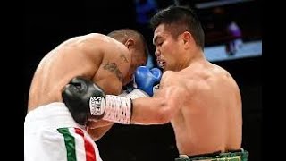 Brian Viloria vs Ruben Montoya FULL FIGHT HIGHLIGHTS [upl. by Davena]