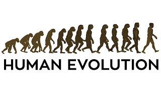 Human Evolution Animation [upl. by Kurzawa]