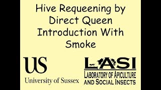 Hive Requeening by Direct Queen Introduction with Smoke [upl. by Arty]