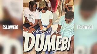 Nono la Grinta  DUMEBI SLOWED [upl. by Nylidam]