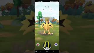 SHINY GALARIAN ZAPDOS LOST TO AR POWER SPORT TELEPORT BUG pokemongo Nianticlabs [upl. by Joseito]