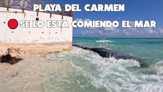 Playa del Carmen Se Esta Quedando Sin Ninguna Playa  12 Diciembre 2024 [upl. by Hsina]