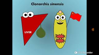 Clonorchis Opisthorchis amp Dicrocoelium Liver Fllukes المثقوبات الكبدية [upl. by Mossberg]