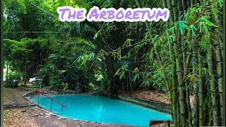 The Arboretum Chaguaramas  Trinidad  Tourist Attraction  Road Trip Adventures [upl. by Gilliam]