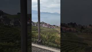 Swiss trains🇨🇭🤩Lavaux wineyards💓 [upl. by Glover]