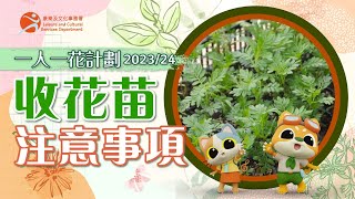 一人一花計劃202324 收花苗注意事項 One People One Flower Scheme 202324 Notes on Receiving Seedlings [upl. by Fermin206]