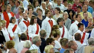 Festhögmässan vid Oasrörelsens sommarmöte i Borås 2009 del 2 [upl. by Ymerej]