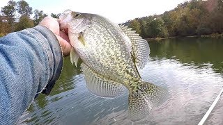 How To Locate and Catch Crappie In The Fall [upl. by Aihtekal810]