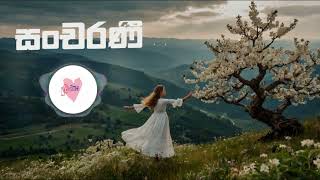 Mai Maara Prasangaya  සංචරණී  Traditional Touch Mix  No Rap [upl. by Sheya]