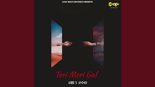 Teri Meri Gal [upl. by Ause]