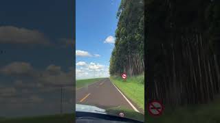 ApucaranaPr Alguém já passou por essa estrada joellmaaj [upl. by Arakal]