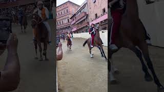 The World’s Most Insane Horse Race Siena’s Palio palio horseracing siena [upl. by Zoa]