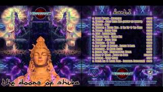 07 Paranoia Sector Chronic Pain  VA  Doors of Shiva  Psychedelic [upl. by Eladnek]