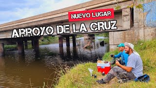 ENCONTRÉ un nuevo lugar mucha pesca y aventuras en el arroyo de la cruz campana rio parana MJPESCA [upl. by Tyree]