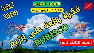 فكرةرائعة👌على إنزيم روبيسكو RUBISCO في عمليةالتركيبالضوئي السنة الثالثة ثانوي mutation [upl. by Luce]