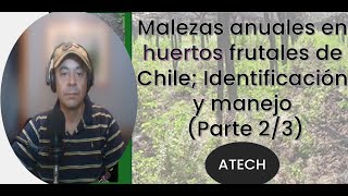 Malezas en huertos frutales de Chile Identificación y manejo parte 2 de 3 [upl. by Ahsiken]