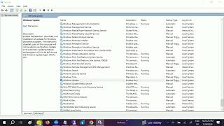 Clear Windows Update Cache and Fix Windows Updates Windows 10 [upl. by Pearlstein]