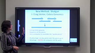 Genomics and Proteomics [upl. by Nimajnab]