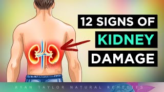 12 Signs Your KIDNEYS Are In TROUBLE [upl. by Specht]