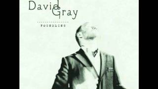 fixative  david gray [upl. by Maitland97]