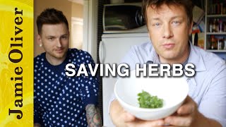 How to make herbs last longer  Save with Jamie [upl. by Stovall]